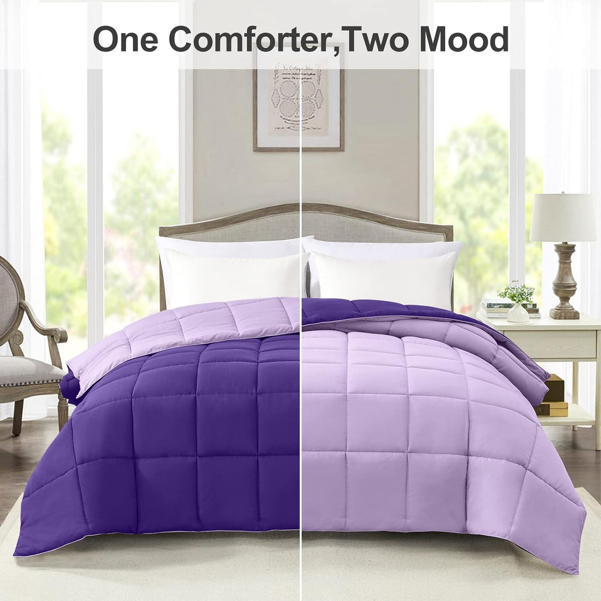 TwinTwin XL Comforter